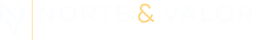 Norte & Valor Consultores